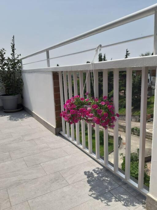 Casa Tra I Castelli Apartment San Martino Alfieri Екстериор снимка